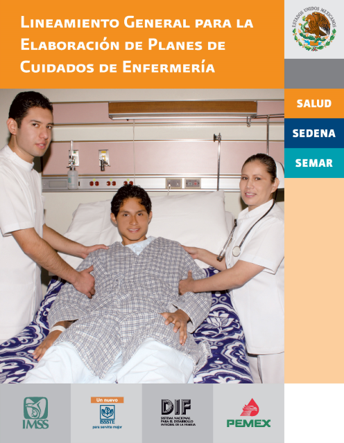 Book Cover: Lineamiento General para la Elaboracion de Planes de Cuidados de Enfermeria